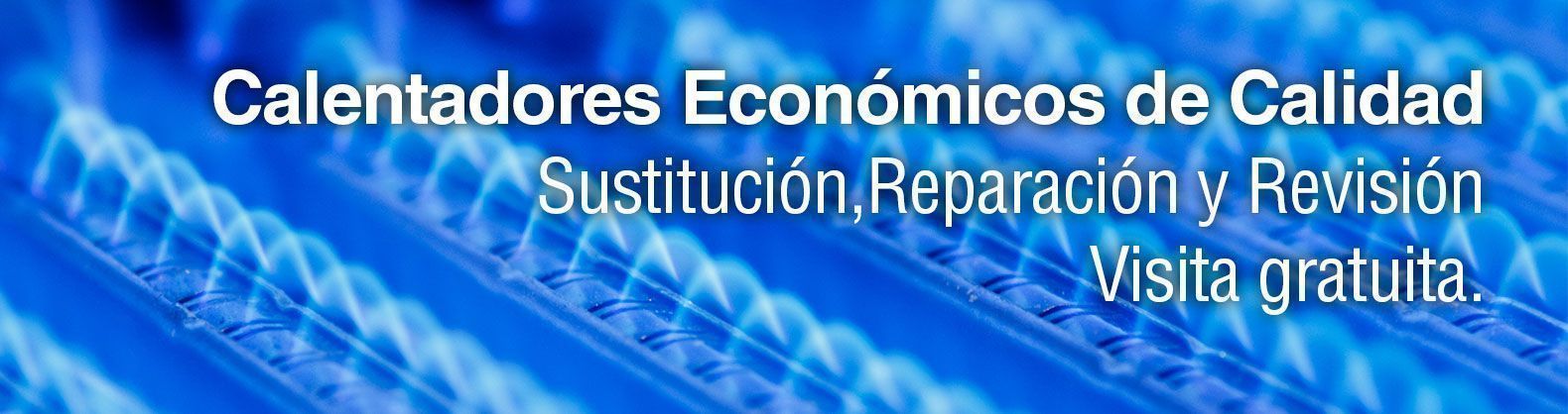 Calentadores economicos
